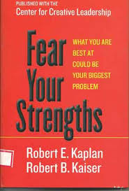 Fear your Strengths book jacket